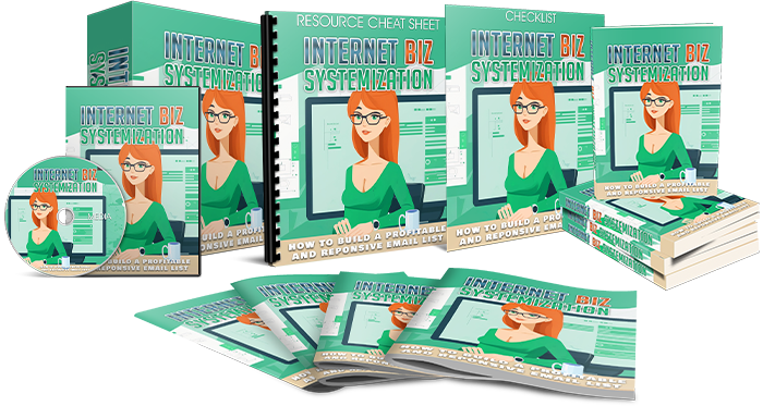 Internet Biz Systemization